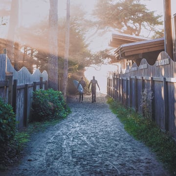 겨울이 되면 캐나다에서는
진정한 바다 탐험이 시작되다