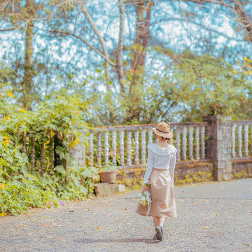 달랏, 봄바람이 불 때
찾아주세요