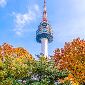 지금 가장 아름다운
남산을 즐기는 방법 3