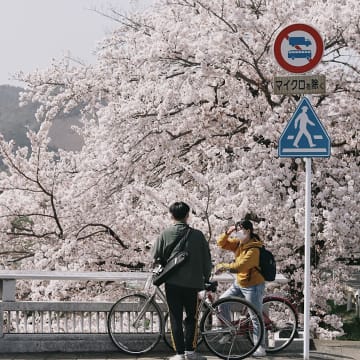 총 88만원으로 떠나는
오사카 3박 4일 벚꽃 여행 