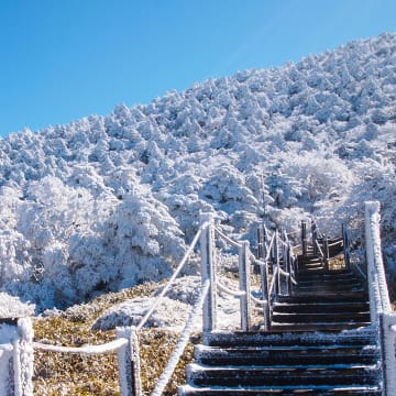 겨울 낭만 제주 여행 특가