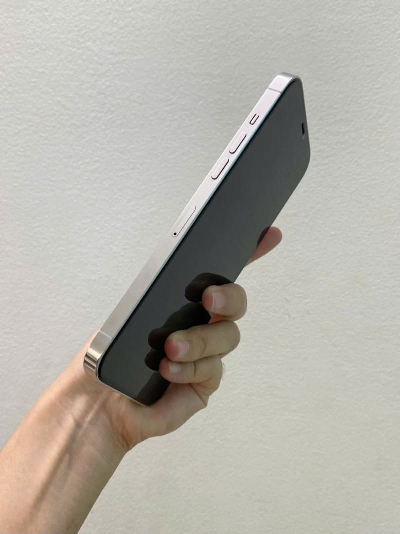 iPhone 12 PRM_256G
