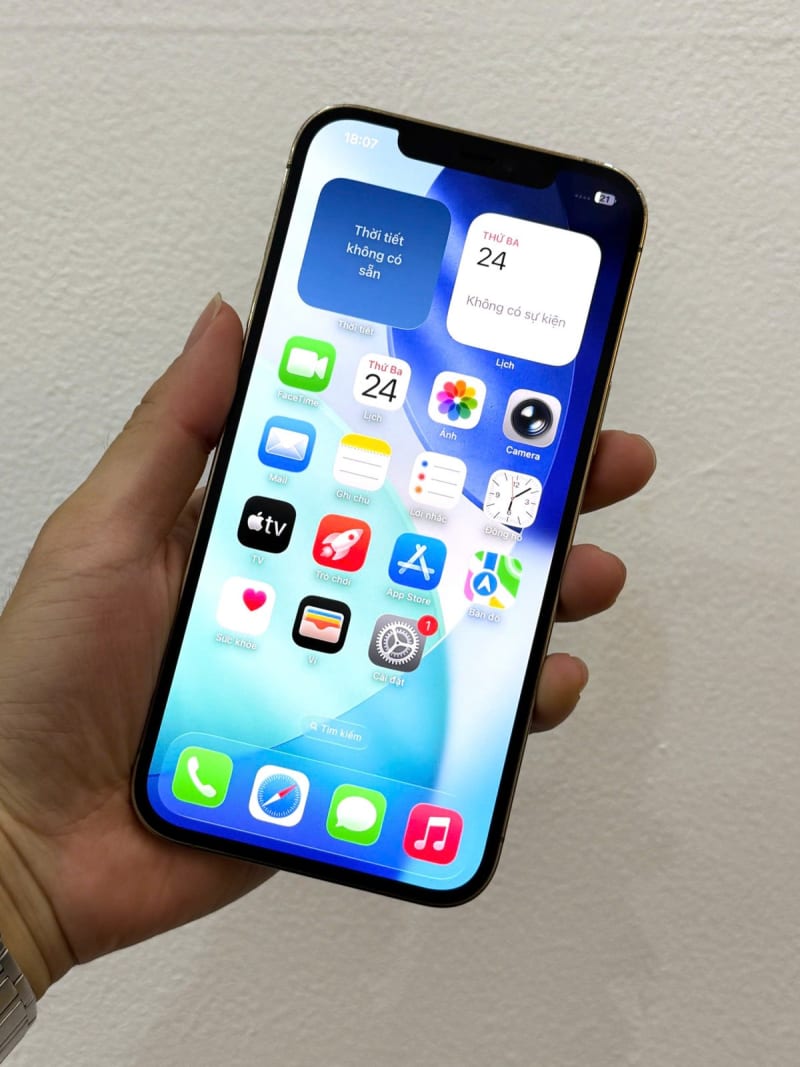 iPhone 12 PRM-128G