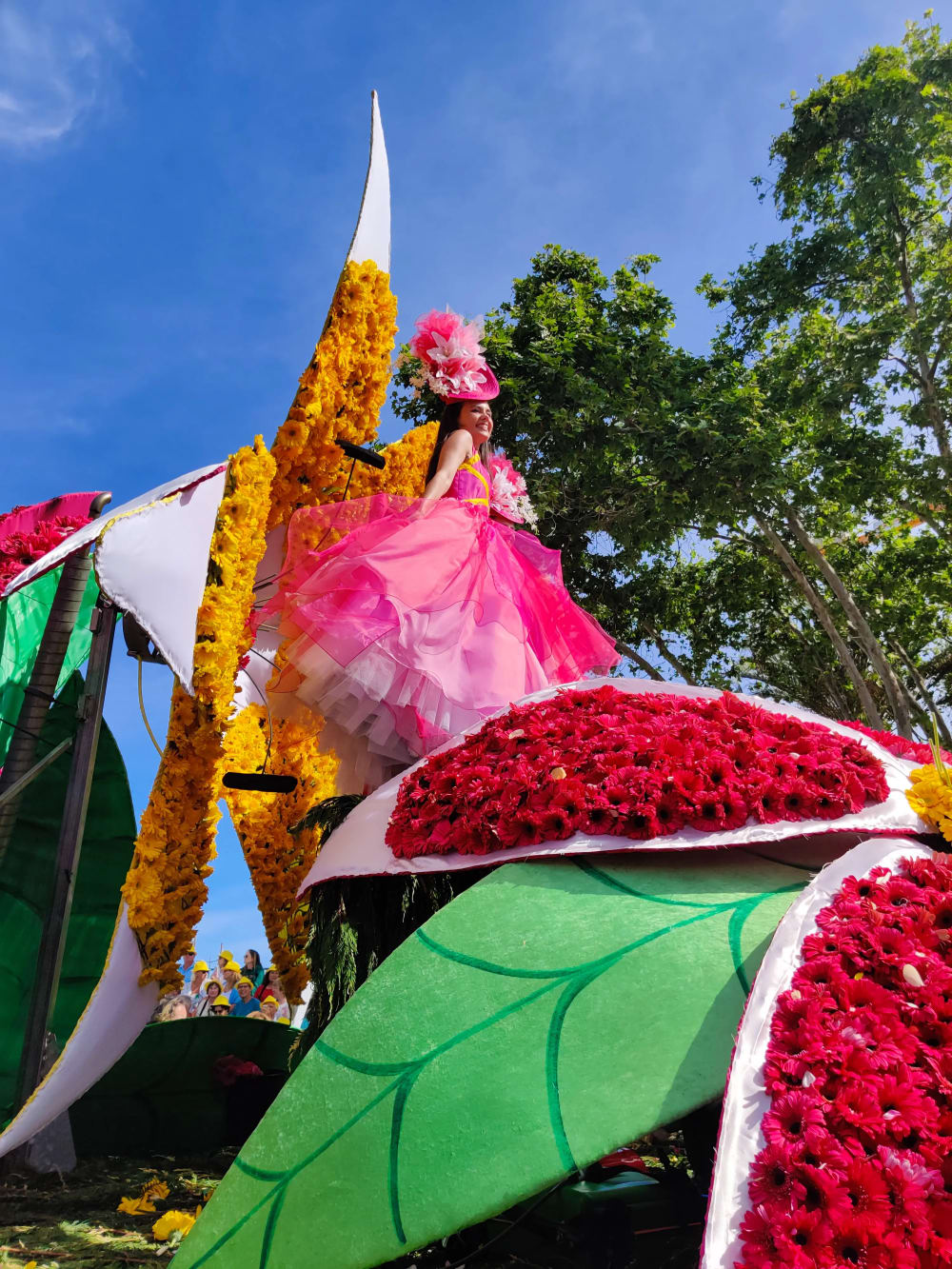 Flower seeds being sold at a market stall during the Flower Festival in Funchal on Madeira Island
