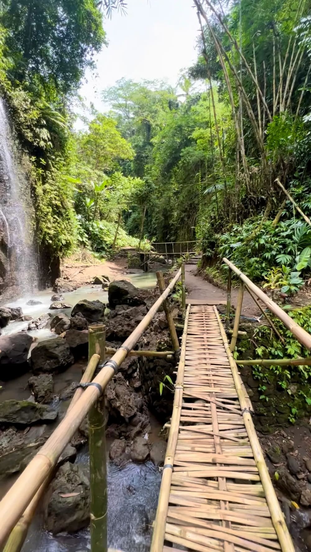 Bamboo bridge over a river in Ubud, Bali