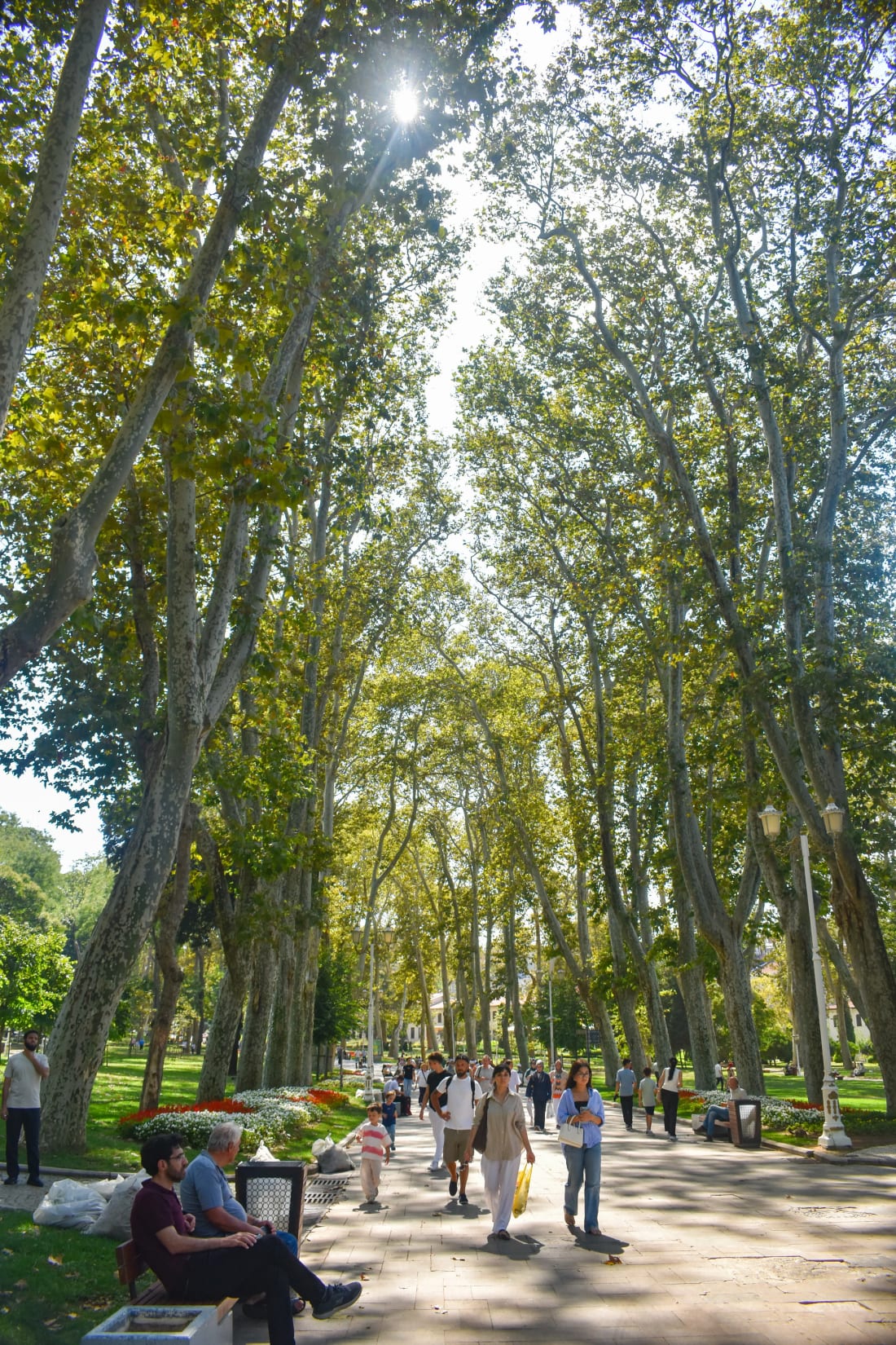 Main forested path of Gülhane Park in Istanbul, Turkey