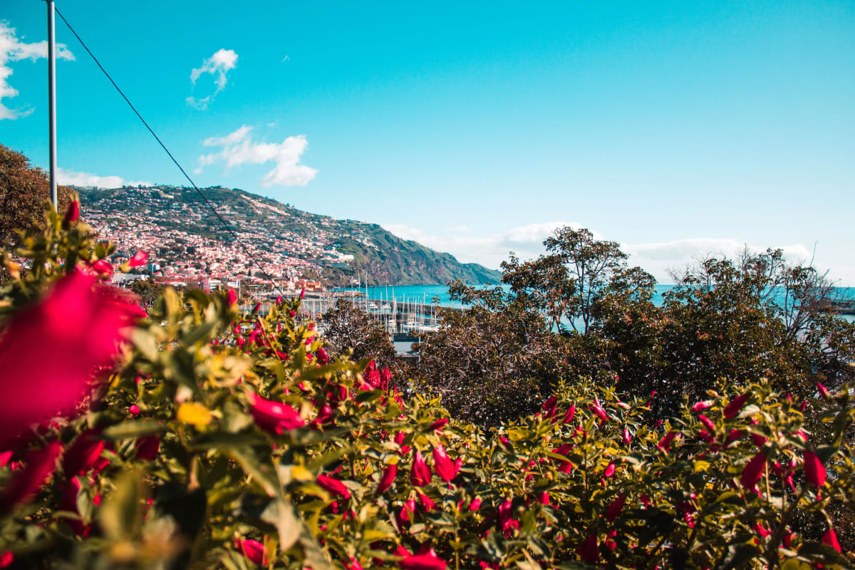 Aerial view of Funchal with a view of the ocean on Madeira Island