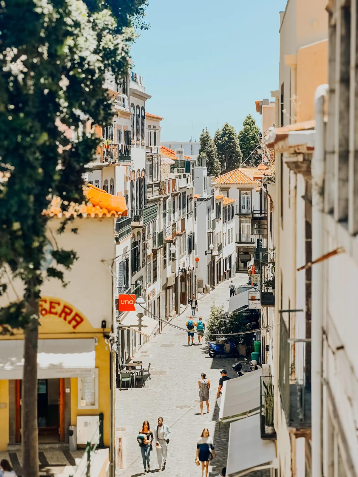 A narrow street in Funchal on Madeira Island