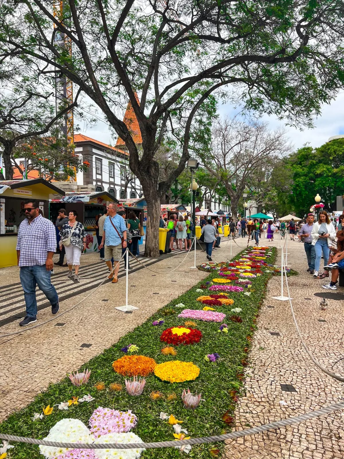 A flower carpet exhibit on Avenida Arriaga during the Flower Festival in Funchal, Madeira Island