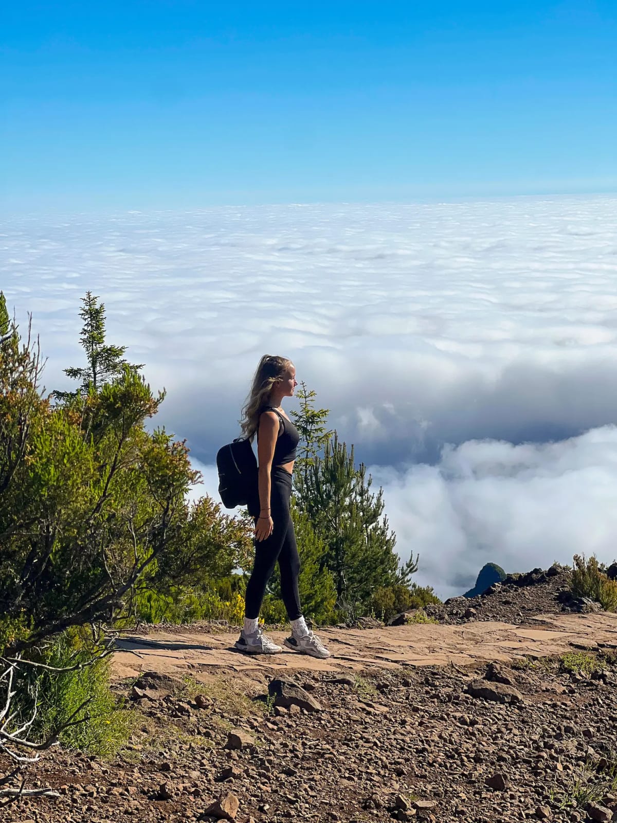 View above the clouds on Pico Ruivo on Madeira Island