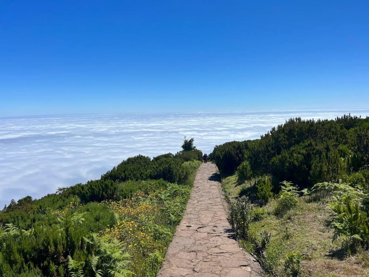 Trail from Pico Ruivo to Achada do Teixeira on Madeira Island