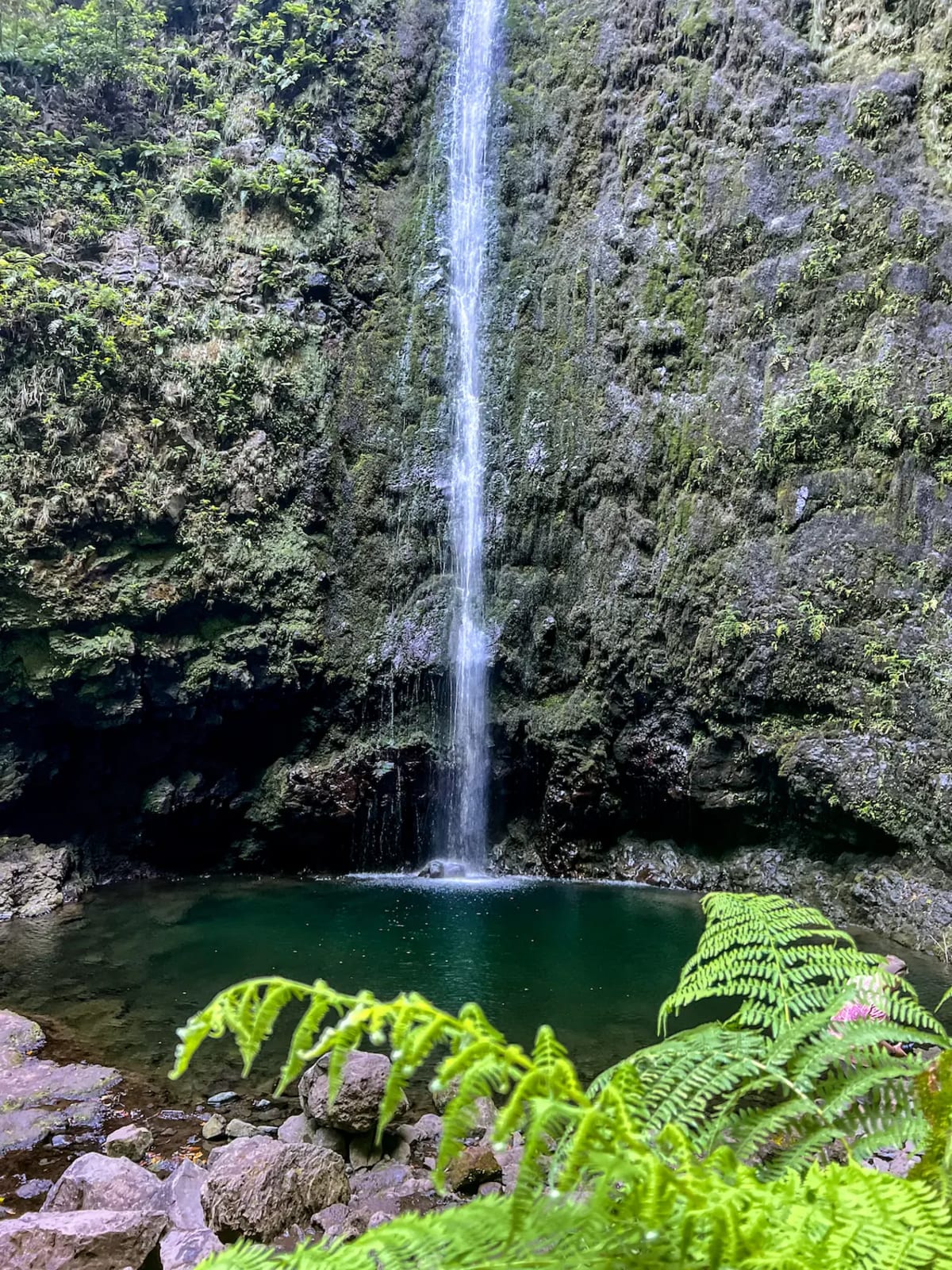 A waterfall at Levada do Caldeirão Verde, PR9, on Madeira Island
