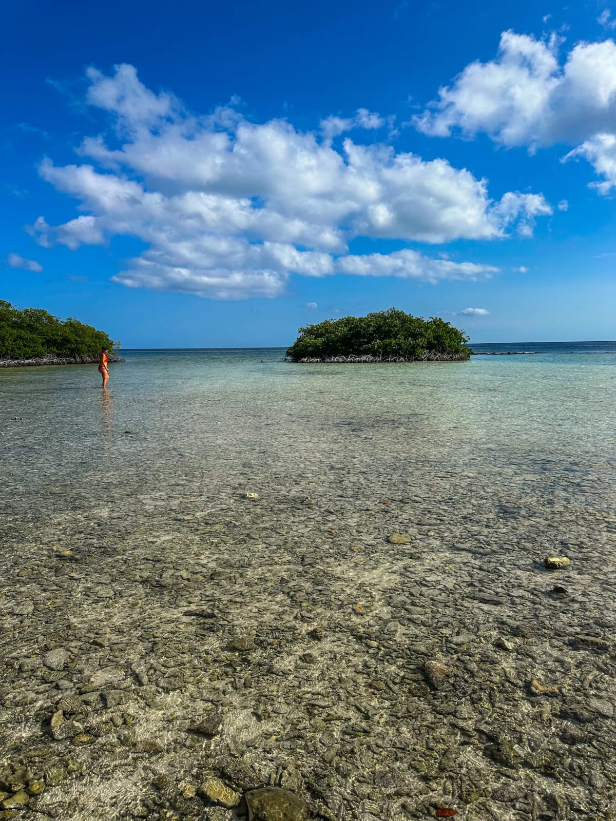 Arubas Mangel Halto beach