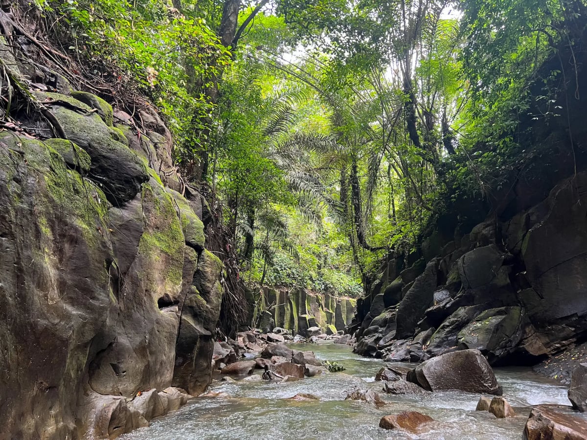 River flowing through the Balinese jungle in Indonesia