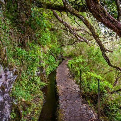 PR9 Hike on Madeira Island