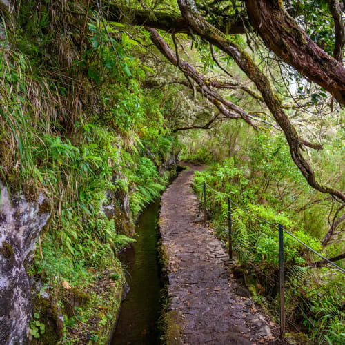 PR9 Hike on Madeira Island