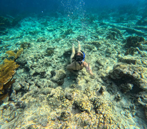 Snorkling in Aruba