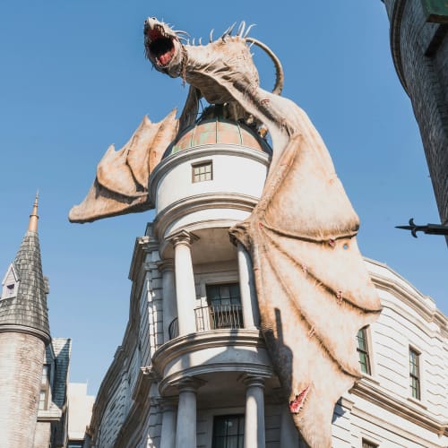 Harry Potter dragon universal studios