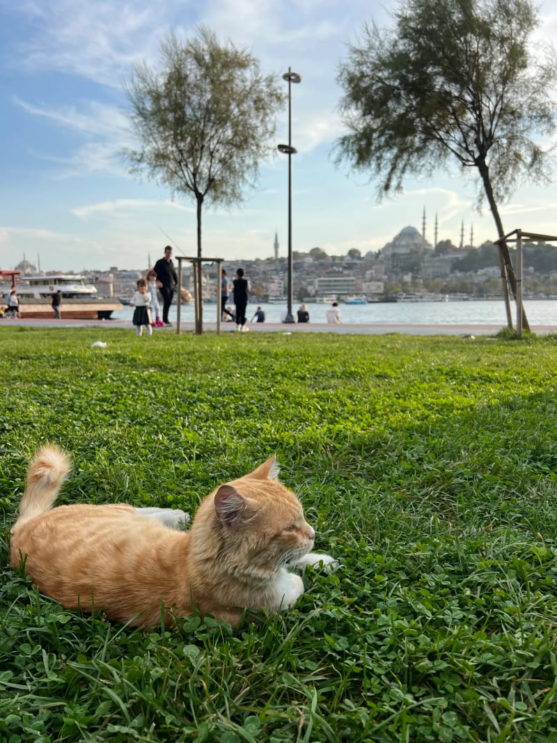 İBB Karaköy Sahil Parkı in Istanbul, Turkey