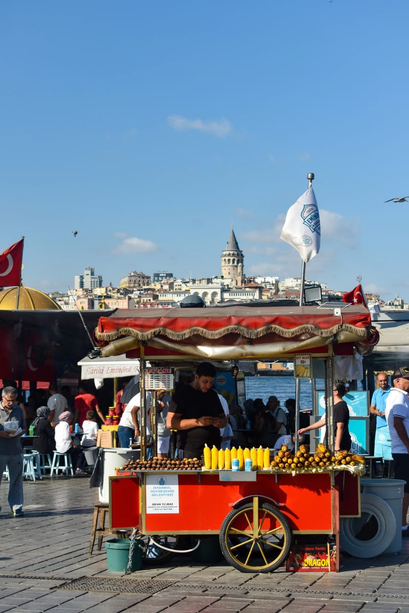 Street vendor selling chestnuts and corn on the Eminönü waterfront in Istanbul, Turkey