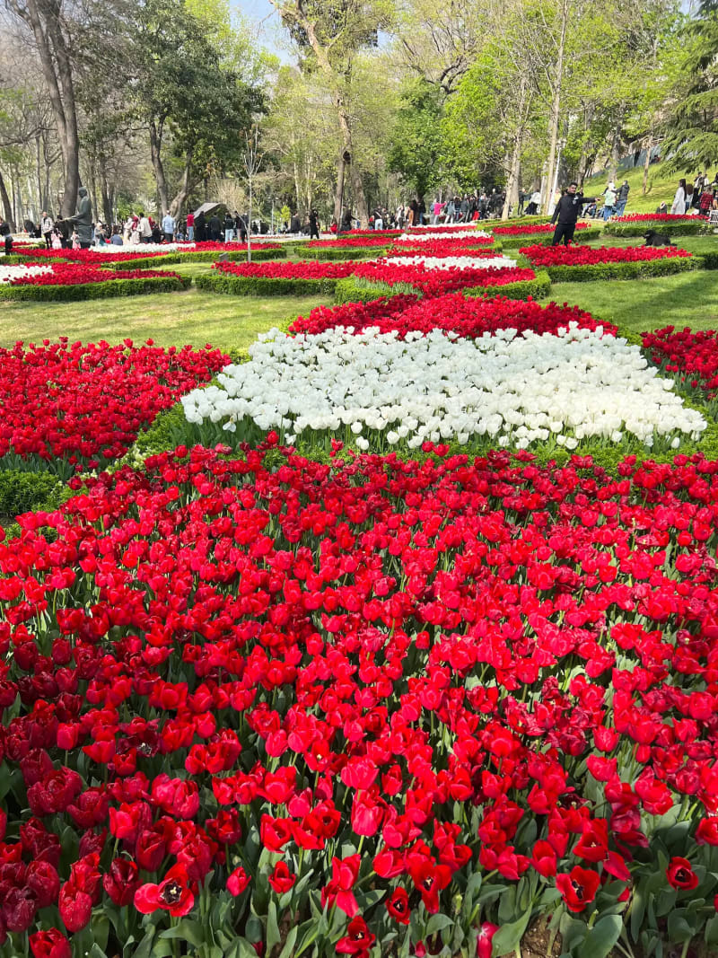 Field of flowers at Gülhane Park in Sultanahmet, Istanbul