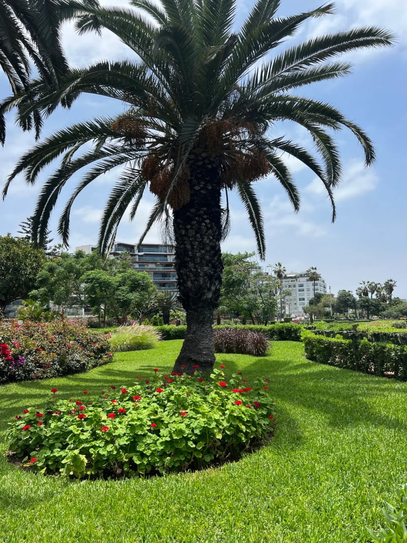 A park along the cliffs in the district of Barranco in Lima, Peru