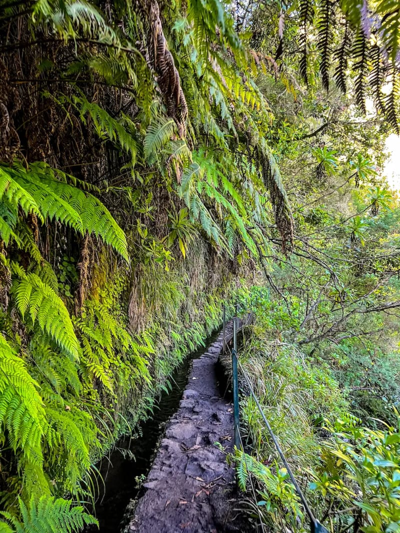 Green Cauldron PR9 Hike on Madeira Island, Portugal
