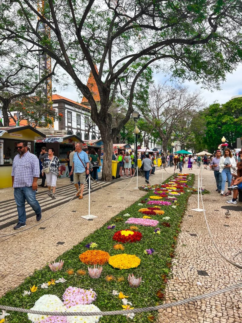 Flower carpet along the sidewalk of Avenida Arriaga in Funchal on Madeira Island during the annual Flower Festival