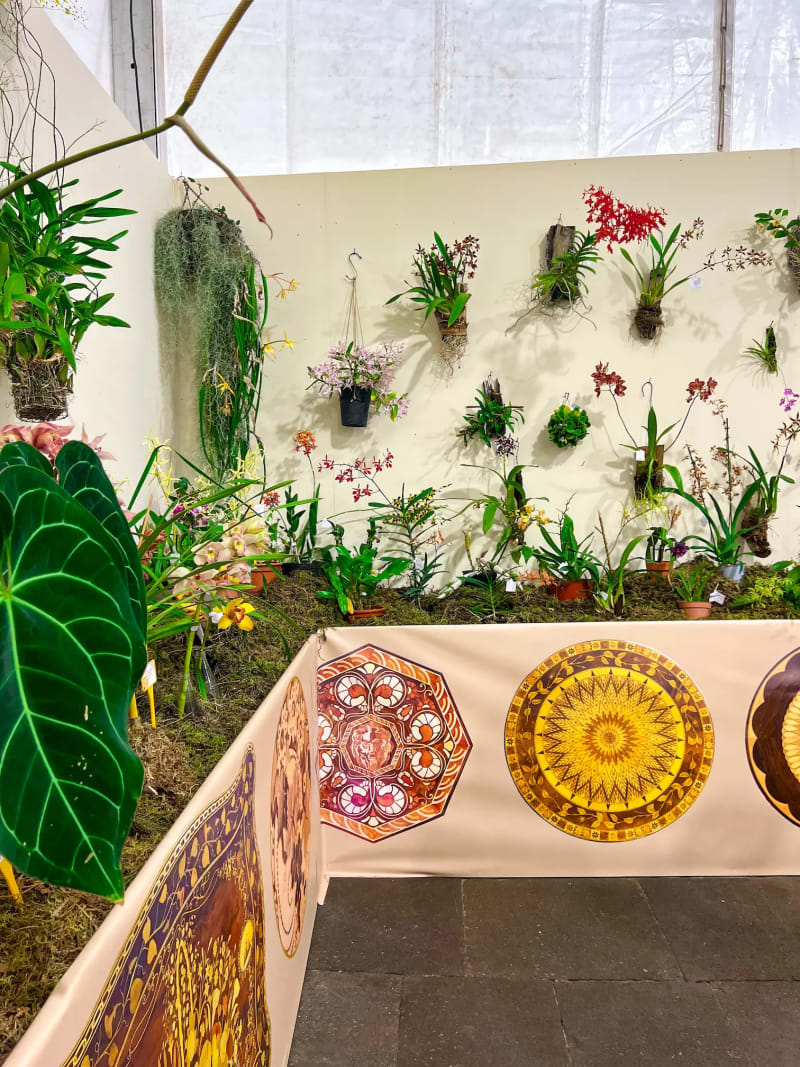Variety of exotic flowers on display during the Flower Festival in Funchal on Madeira Island