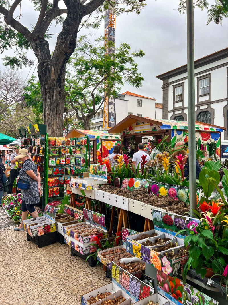 Flower seeds being sold at a market stall during the Flower Festival in Funchal on Madeira Island