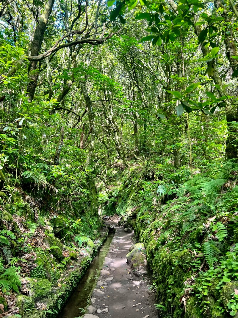 Levada do Caldeirão Verde, PR9, on Madeira Island