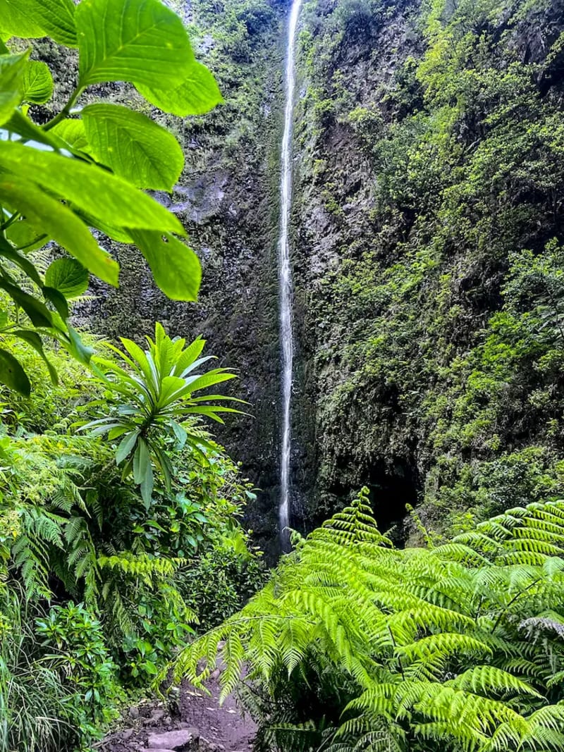 Waterfall at Levada do Caldeirão Verde, PR9, on Madeira Island