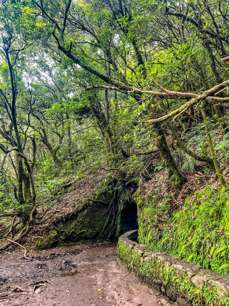 A tunnel leading through a mountain at Levada do Caldeirão Verde, PR9, on Madeira Island