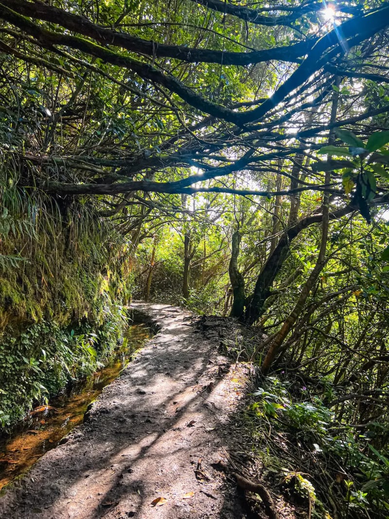 Levada do Caldeirão Verde, PR9, on Madeira Island