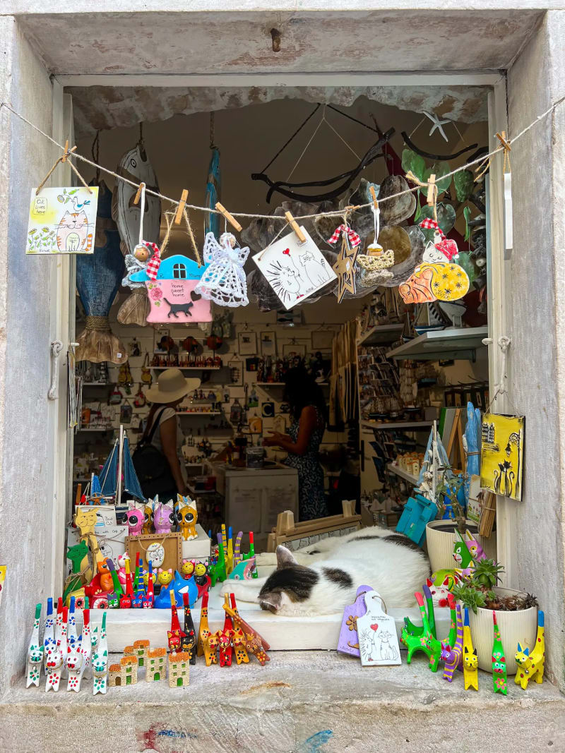 Cat sleeping in a window in the old town of Kotor Montenegro
