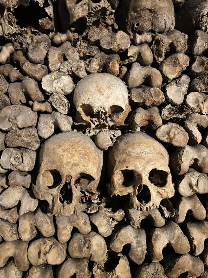 The bones in the Paris Catacombs