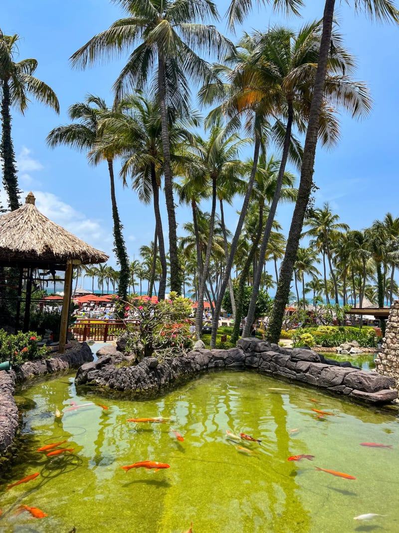 Restaurant on the sand in Palm Beach, Aruba
