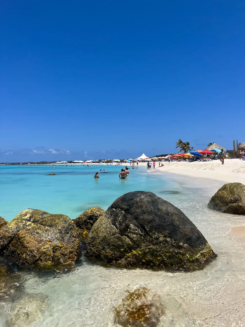 A sign nailed to a palm tree on Arashi Beach in Aruba