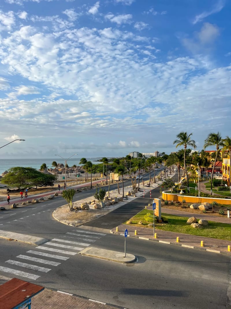 Road with a palm tree-lined promenade in Aruba