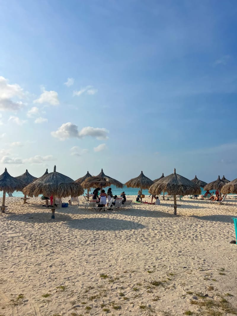 Palapas on the sand at Eagle Beach in Aruba