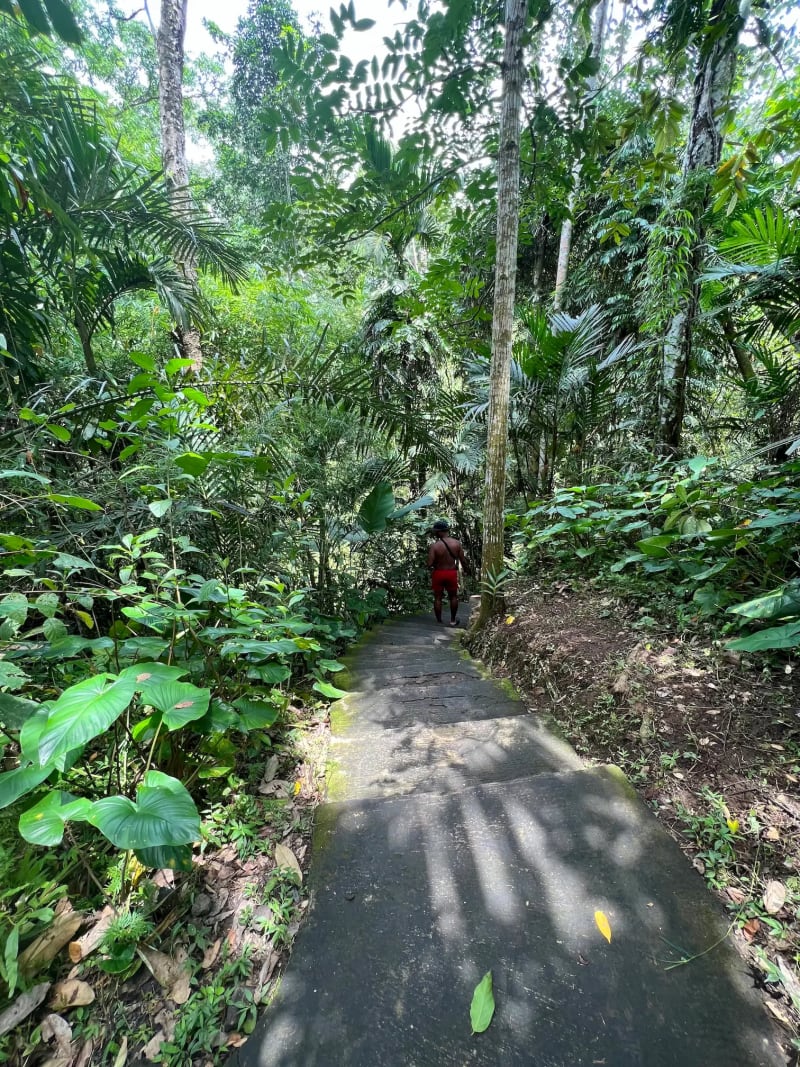 Jungle path in Bali, Indonesia, leading to Suwat waterfall