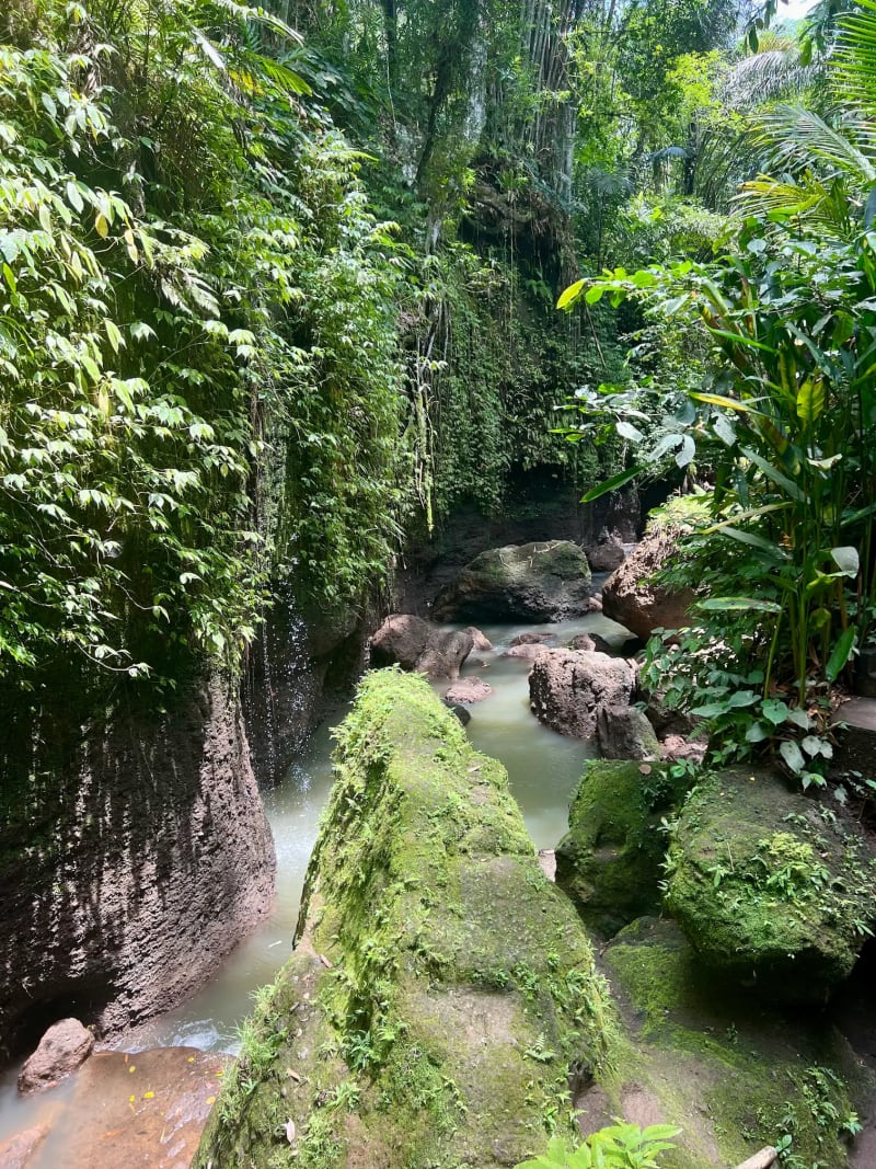 River flowing through the jungle in Bali Indonesia