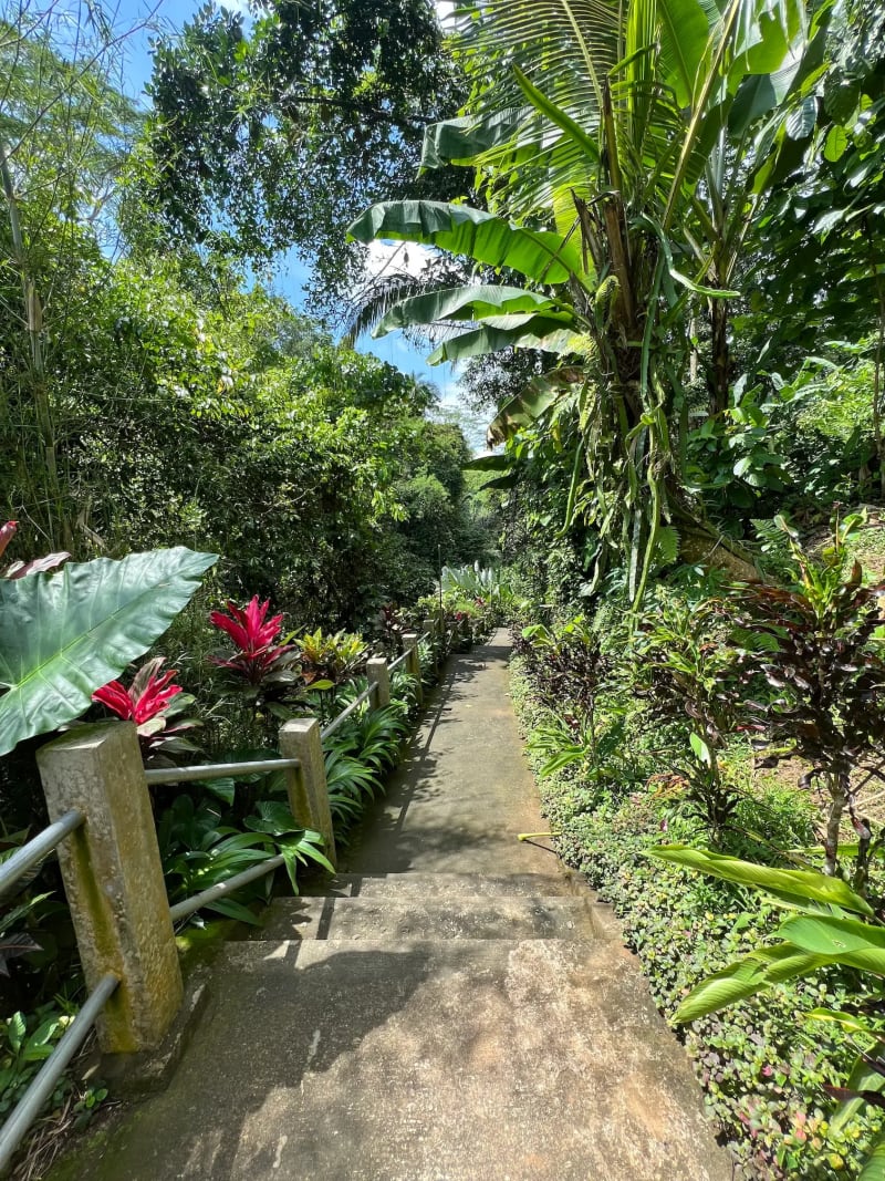 Path leading to Ubud's Tibumana waterfall