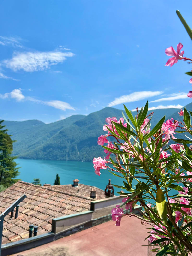 Flowers, lake and mountainscape in Switzerland