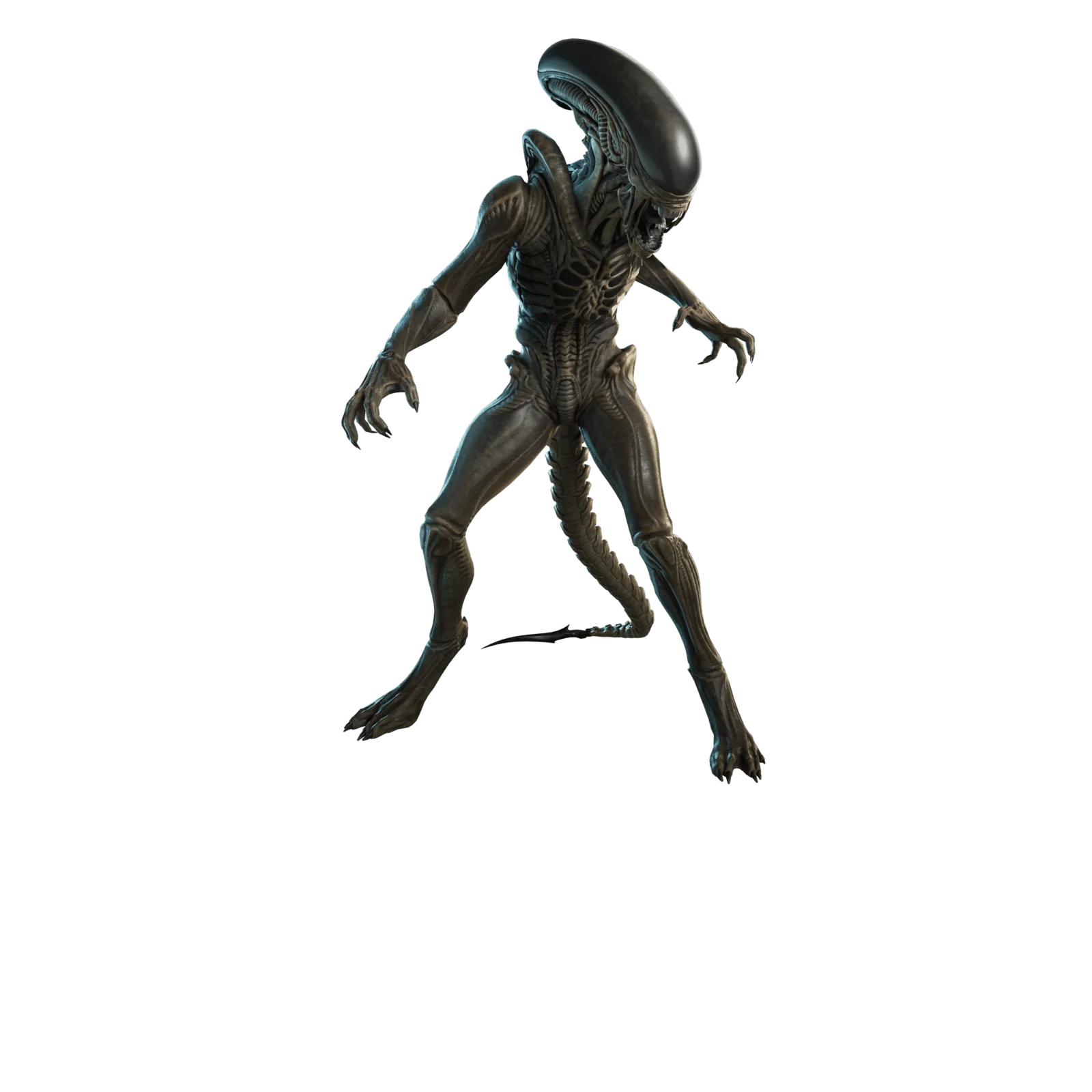 Xenomorph (Alien: Earth)