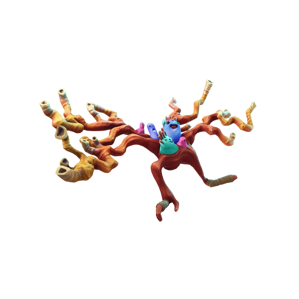 Coral Cruiser