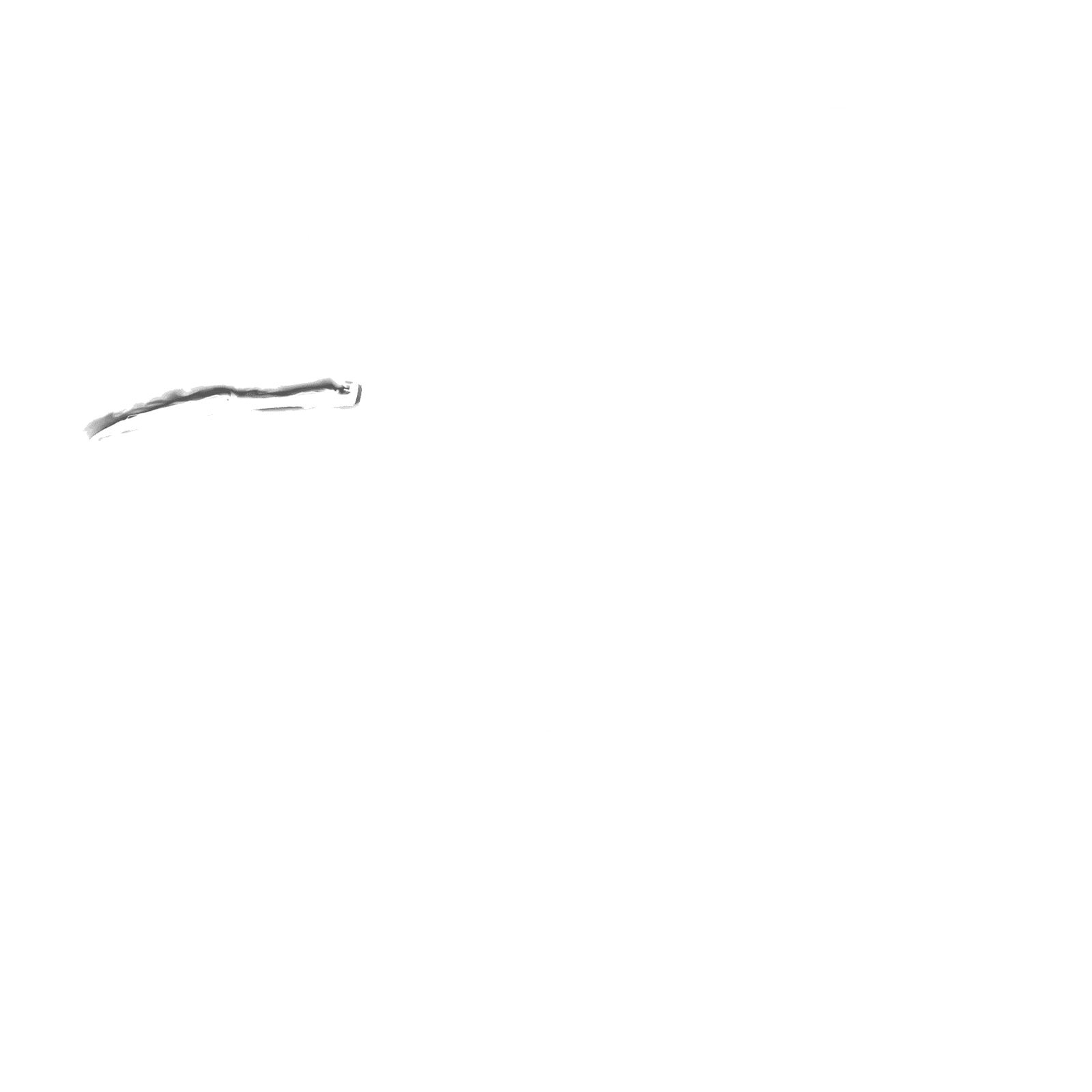 Predator's Sword Slash