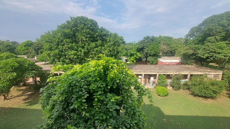 Boys Hostel No. 4 — hostel in Punjab University Campus