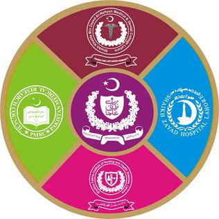 SZPMI logo