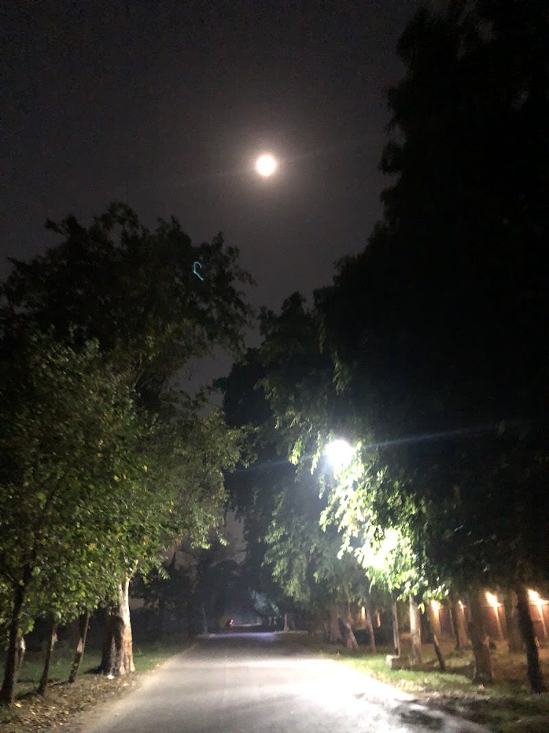 Stc hostel — hostel in Punjab University Campus, Lahore